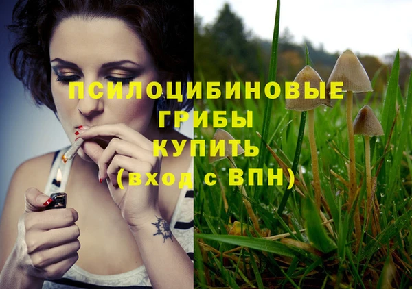 прущая мука Бугульма