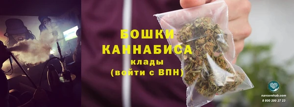 2c-b Пестово
