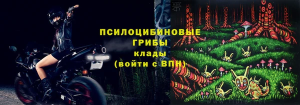 прущая мука Пересвет