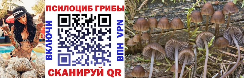 Псилоцибиновые грибы Magic Shrooms  Оса 